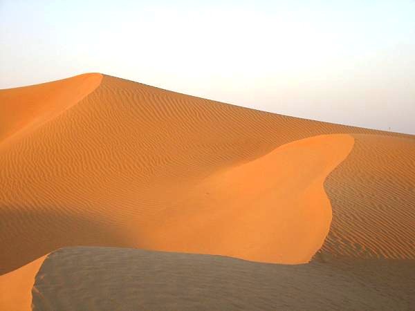 The Beautiful Golden Desert